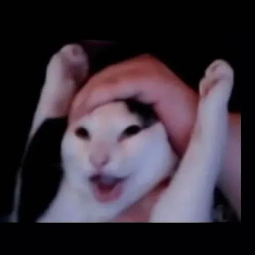 usuallymaxi